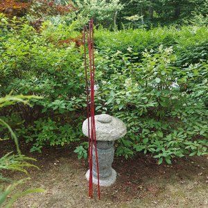 Red Reed Bamboo Stakes Dyed Natural 6' Thin Bamboo Poles Garden Decoration Gift